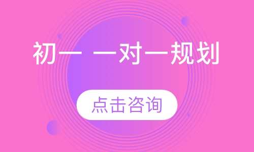初一 一对一辅导