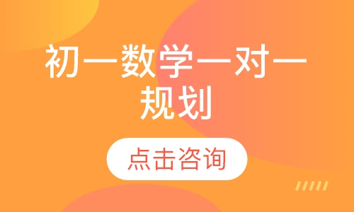 初一数学一对一辅导