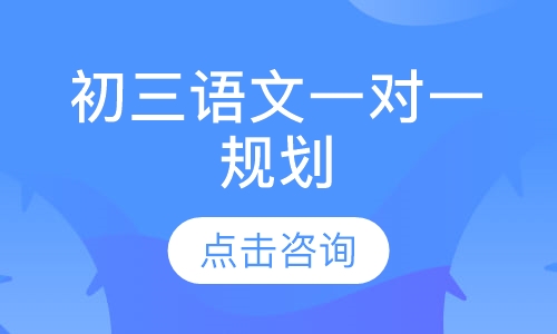 初三语文一对一辅导