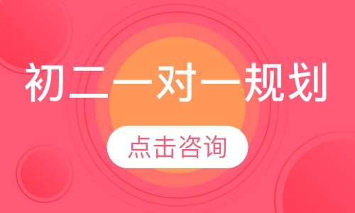 初二一对一辅导