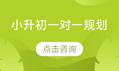 小升初一对一辅导