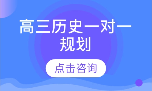 高三历史一对一辅导
